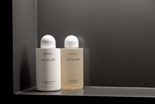 Natural Earth Plasters