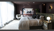 Natural Earth Plasters