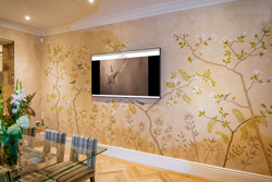 Natural Earth Plasters - Japanese Murals